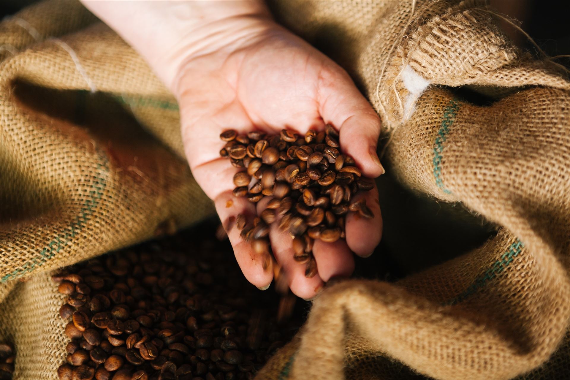 Boletim Carvalhaes: Mercado de café reage a superávit global e tensão no Oriente Médio