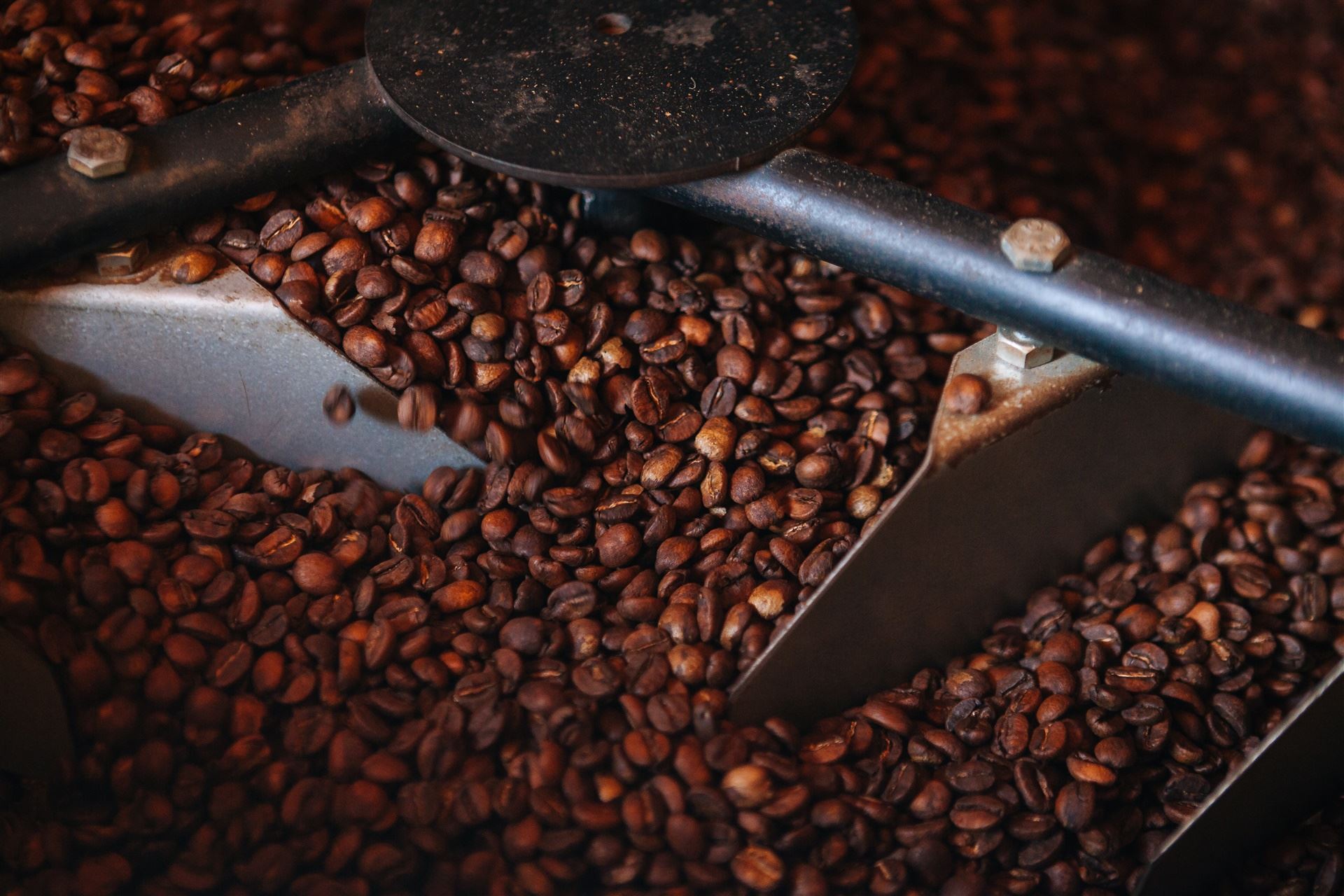 Boletim Carvalhaes: Mercado de café oscila com guerra no Oriente Médio e expectativa de maior oferta