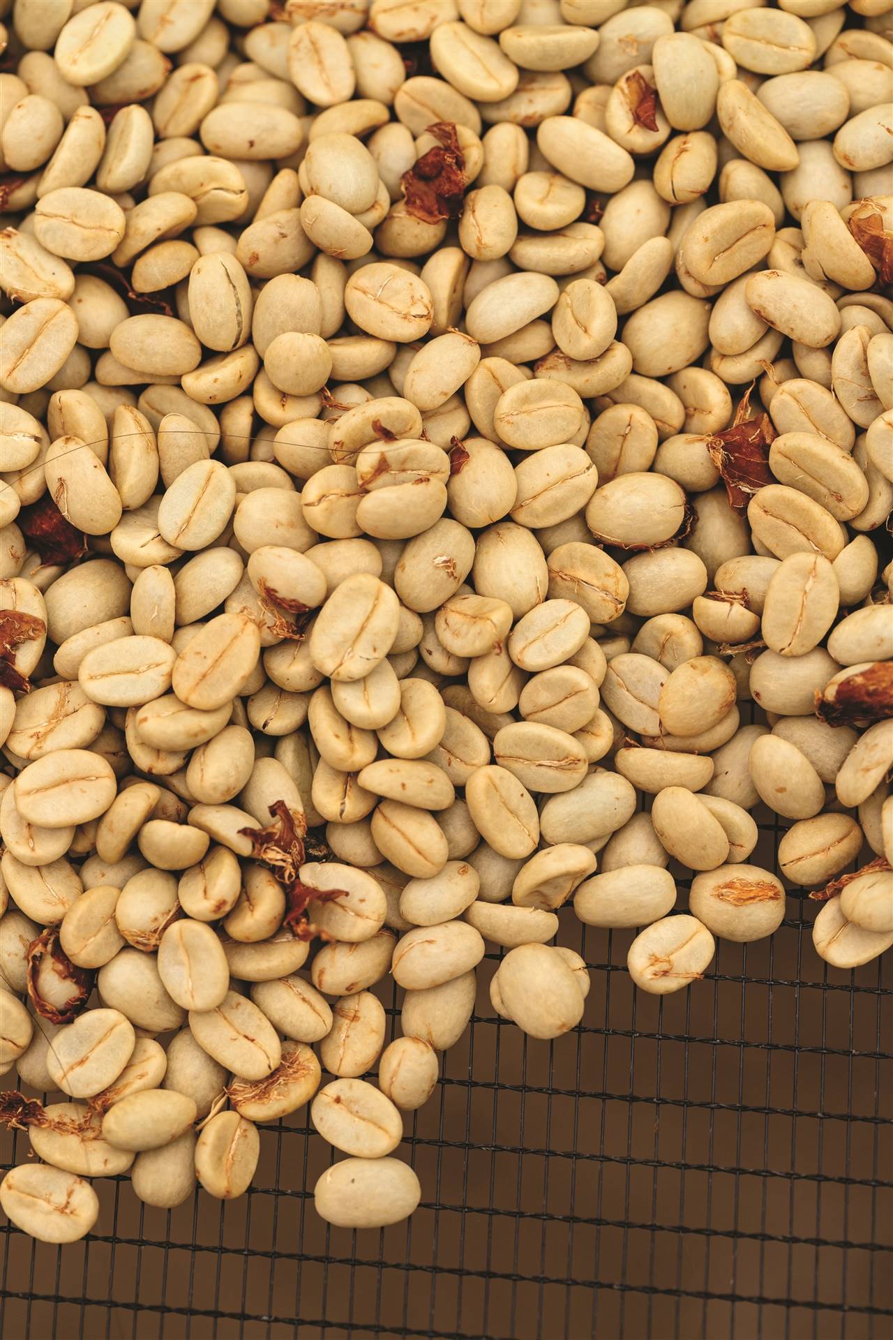 Boletim Carvalhaes: Exportação de café arábica do Brasil despenca 16,7% até julho, aponta Cecafé