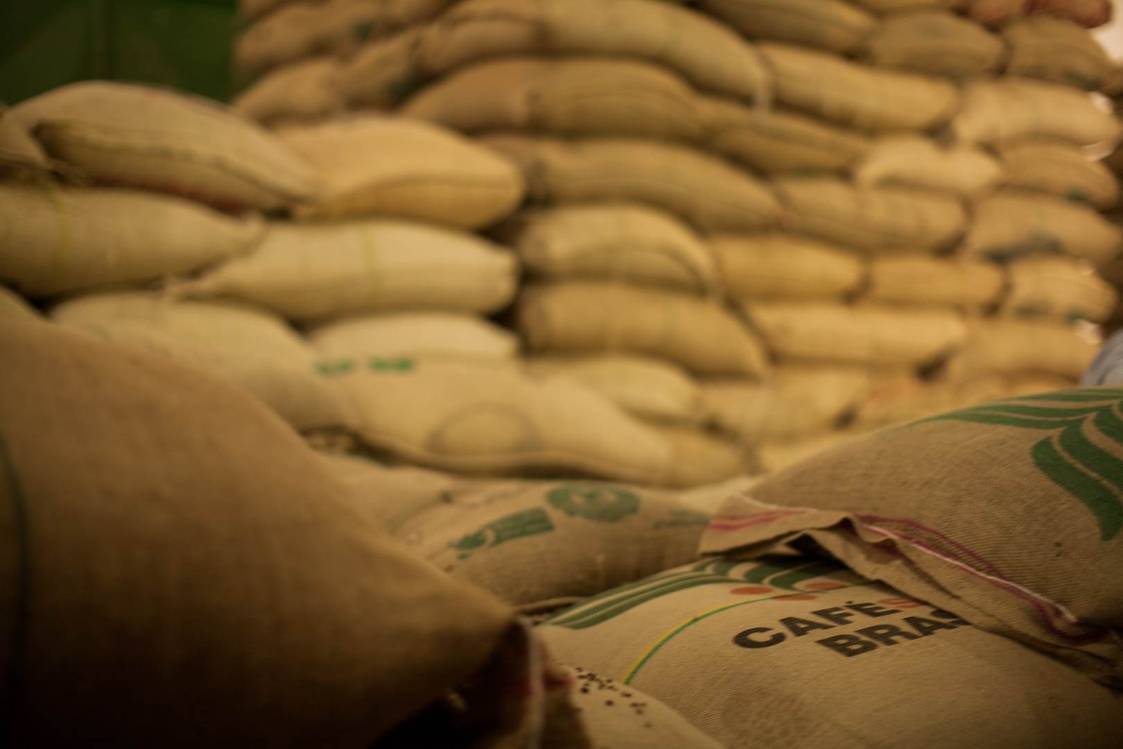 Boletim Carvalhaes: Café recua nas bolsas com avanço da safra brasileira