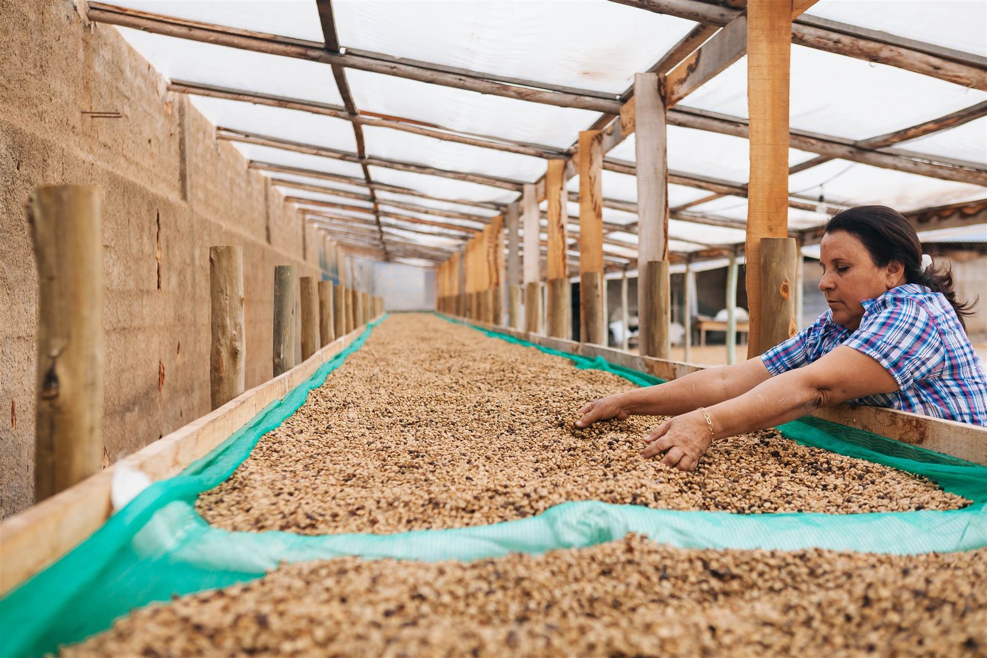 SIC 2026 terá Summit dedicado às mulheres do agro e do café