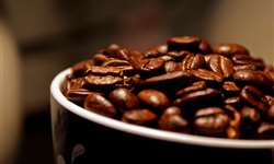 Quais as tendências do mercado de café que irão moldar o futuro?