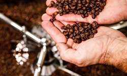 Setor industrial reivindica investimento em marketing para o café