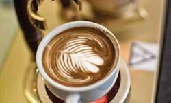 Descoberta inédita aponta proteína do café com efeito similar ao da morfina