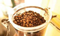 Starbucks diz que agora serve "99% de café obtido eticamente"