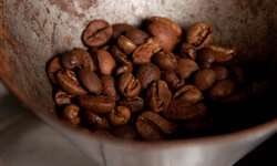 Companhia americana aumenta produção de café na China