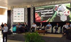 Debates com foco em sustentabilidade e qualidade comprovam importância de simpósio no Cerrado Mineiro