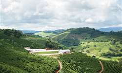 Cocarive mantém meta de elevar exportação de café em 15% neste ano
