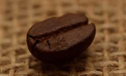 Vendas de café brasileiro com selo Rainforest Alliance Certified crescem 20%