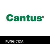 Cantus®: Fungicida sistêmico da BASF, promove maior retenção de flores e frutos