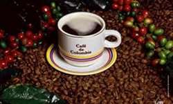 O posicionamento dos cafés suaves colombianos