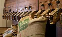 Brasil tem recorde histórico no volume de café exportado no ano-safra 2014/2015