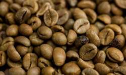 Banco Mundial investe no desenvolvimento sustentável de café no Vietnã