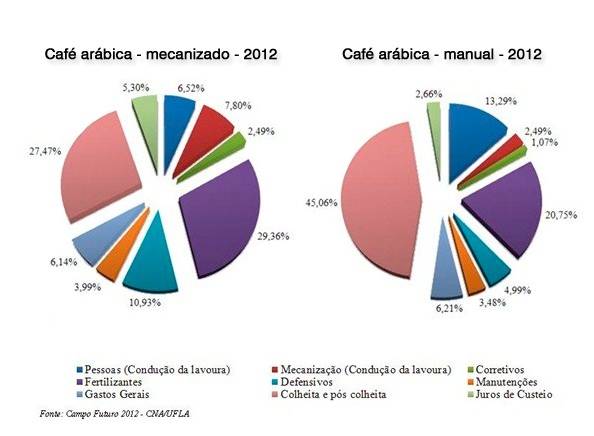 As rentabilidades dos Cafés do Brasil