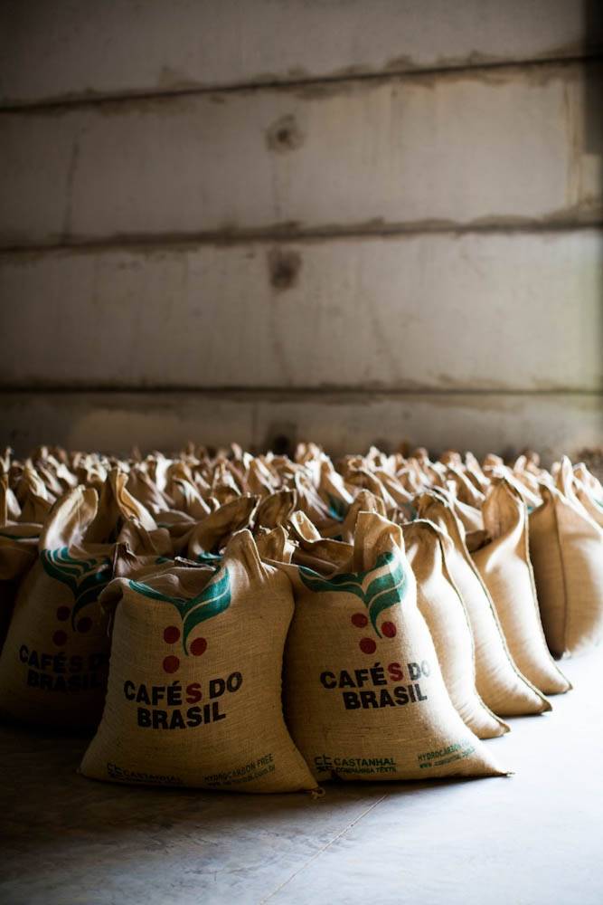 Real brasileiro e macro fortalecem e puxam o café
