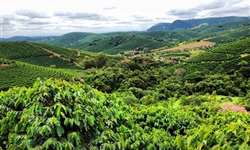 Carta aberta à presidente Dilma: produtores rurais de Cabo Verde - MG