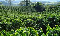 Já teve dúvidas sobre cafeicultura irrigada?