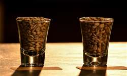 Japão descobre a qualidade do café centro-americano