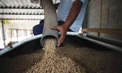 Financiamento para compra de maquinário de café aumenta para R$ 320 mil