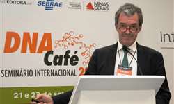 Plataforma Global do Café se lança em desafio para garantir vida da cultura e setor