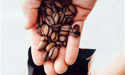 Produção de café da Índia afetada pelas baixas chuvas e desmonetização