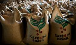 Embarques de café do Brasil em novembro têm baixa em volume