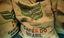Após vender 95 mil sacas de café Governo prepara novo leilão