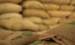 Brasil exporta 8,7% menos sacas de café em janeiro de 2017