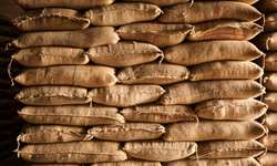 Mais 150 mil sacas de 60 kg de café vão a leilão pela Conab