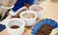 Replicando histórias de sucesso no agronegócio café: Metodologia, ambiente propício e tecnologia