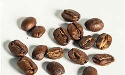 Envolvimento de empresas multinacionais na produção de café é cada vez maior