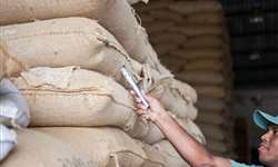 Exportações de café do Peru crescem 25% em 2016