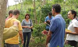 Pesquisadores e cafeicultores se unem para avaliar agroecossistema de orgânico