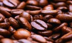 Colômbia teve aumento de 36% na produção de café