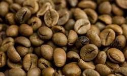 Rabobank reduz previsões dos preços de café