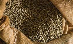 IBGE prevê safra de grãos 26,2% maior em abril