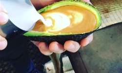 Café com leite servido em casca de abacate faz sucesso na Austrália