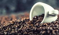 México: demanda de café aumenta, porém produção tem queda