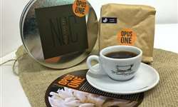 Café produzido com baixo teor de cafeína é comercializado no Brasil