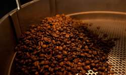 Exportações de café da Índia podem cair de 15 a 20% este ano