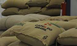 Em setembro, exportação brasileira de café em grão teve queda de 21%