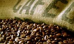 Exportação de café pelo Porto de Santos cresce 14,9%