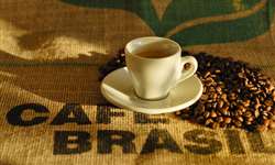 Bradesco analisa mudanças estruturais do mercado do café