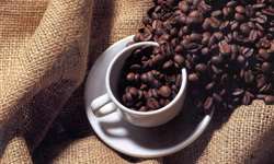 OIC: em outubro, preço médio do café caiu para menor nível desde mar/09