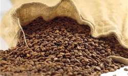 Cotações futuras: análise da trajetória do café arábica (1)
