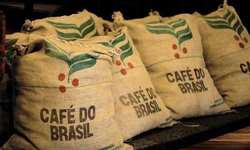 USDA estima safra global de café 2013/14 em 150,5 milhões de sacas
