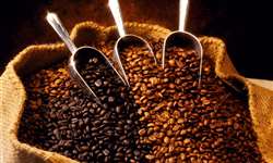 Brasil deverá colher 49,15 milhões de sacas de 60 kg de café em 2013