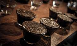 BSCA divulga ranking do Programa Destaque Brasil: café vencedor é capixaba, com 90,67 pontos