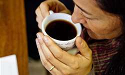Exportação de café solúvel do Brasil pode ter safra recorde