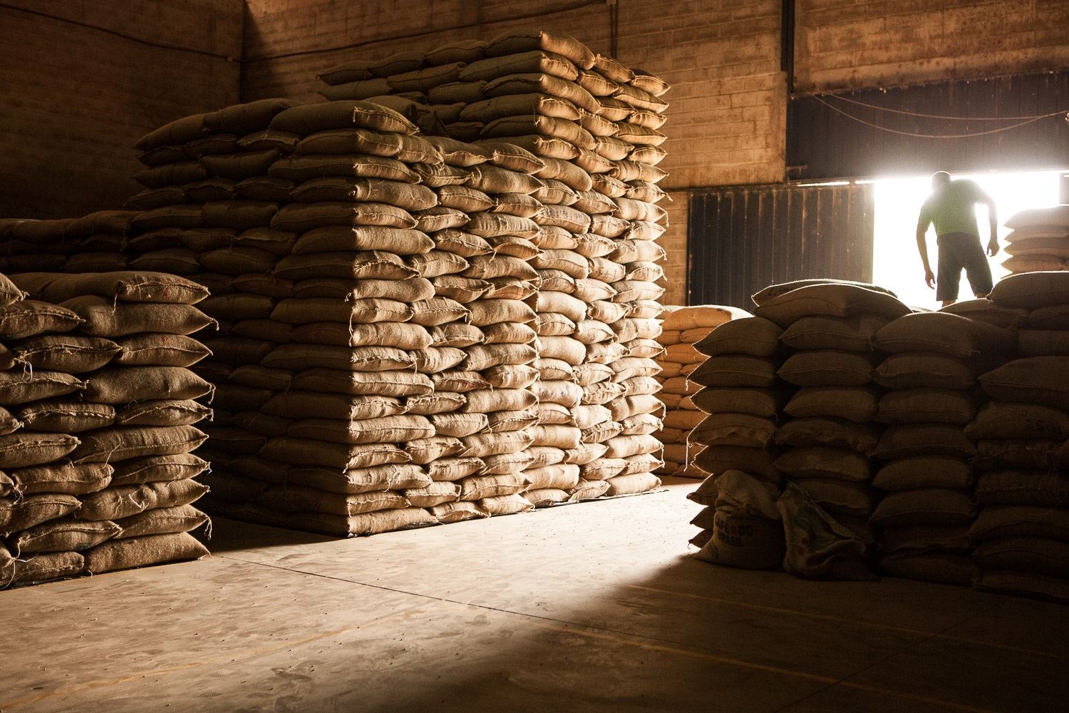 Exportação de café em fevereiro é de 2,35 mi de sacas